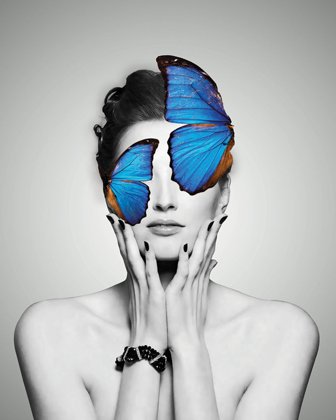 Framed wall Art Blue Butterfly
